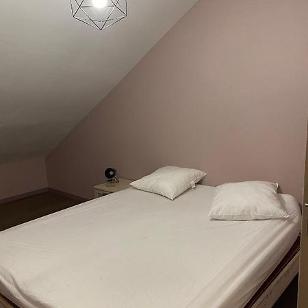 Appartement 14 Couchages Vallee Du Gresivaudan La Buissiere  Dış mekan fotoğraf